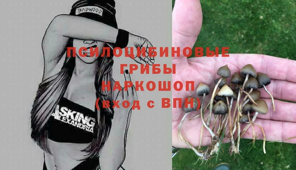 спиды Балабаново