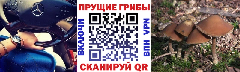 Псилоцибиновые грибы мухоморы Баксан