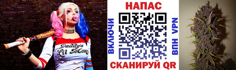 Шишки марихуана AK-47 Баксан
